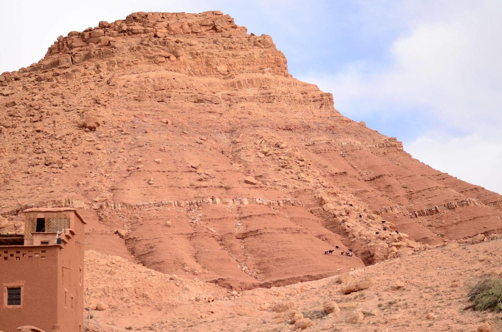 Kasbah Du Peintre Bed & Breakfast Ait Benhaddou Exterior foto