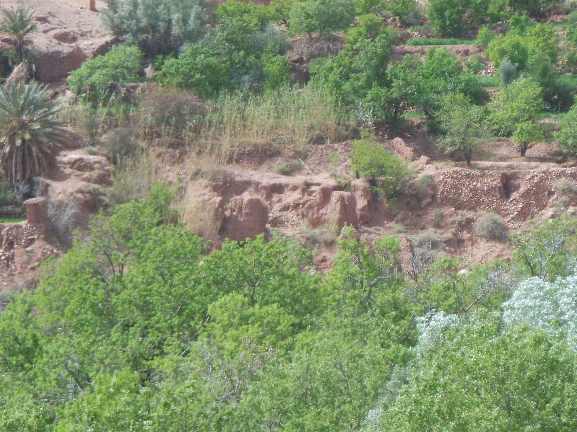 Kasbah Du Peintre Bed & Breakfast Ait Benhaddou Exterior foto